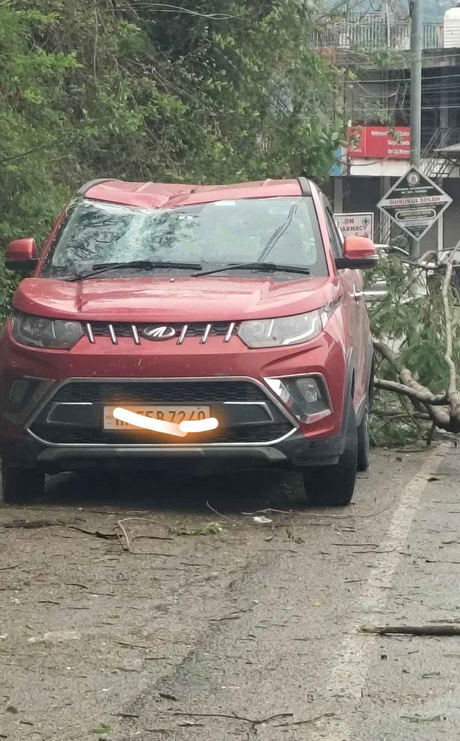 बिलासपुर में बिजली की तारों पर गिरा पेड़। संवाद