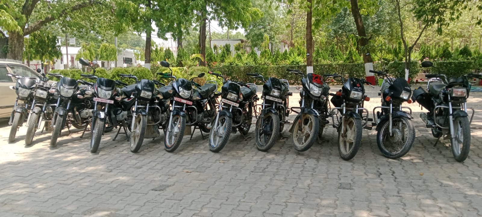 फोटो 2 पुलिस की गिरफ्त में वाहन चोर। संवाद