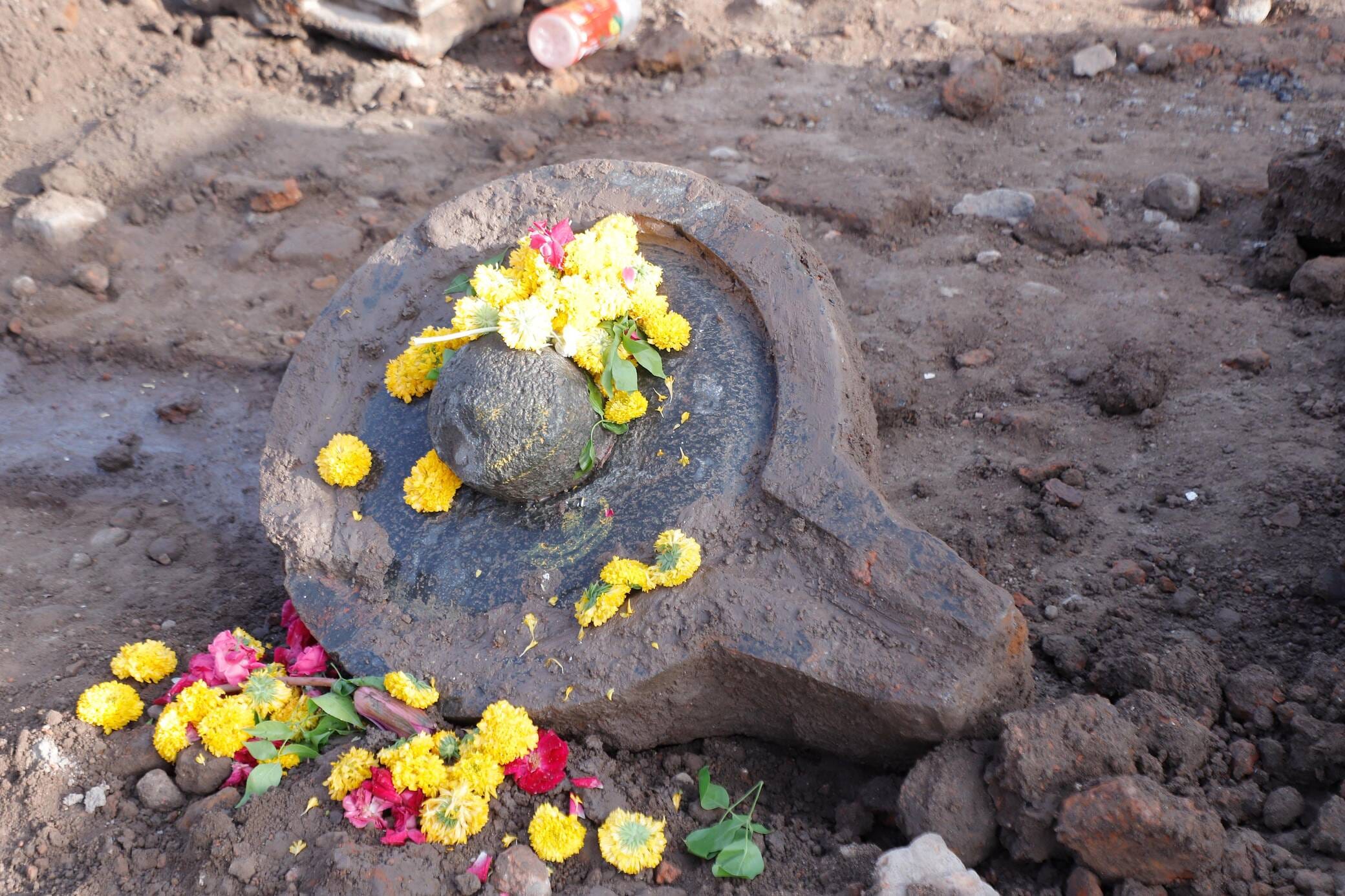 डॉ रमण सोलंकी, इतिहासकार एवं पुरातत्वविद से विशेष चर्चा