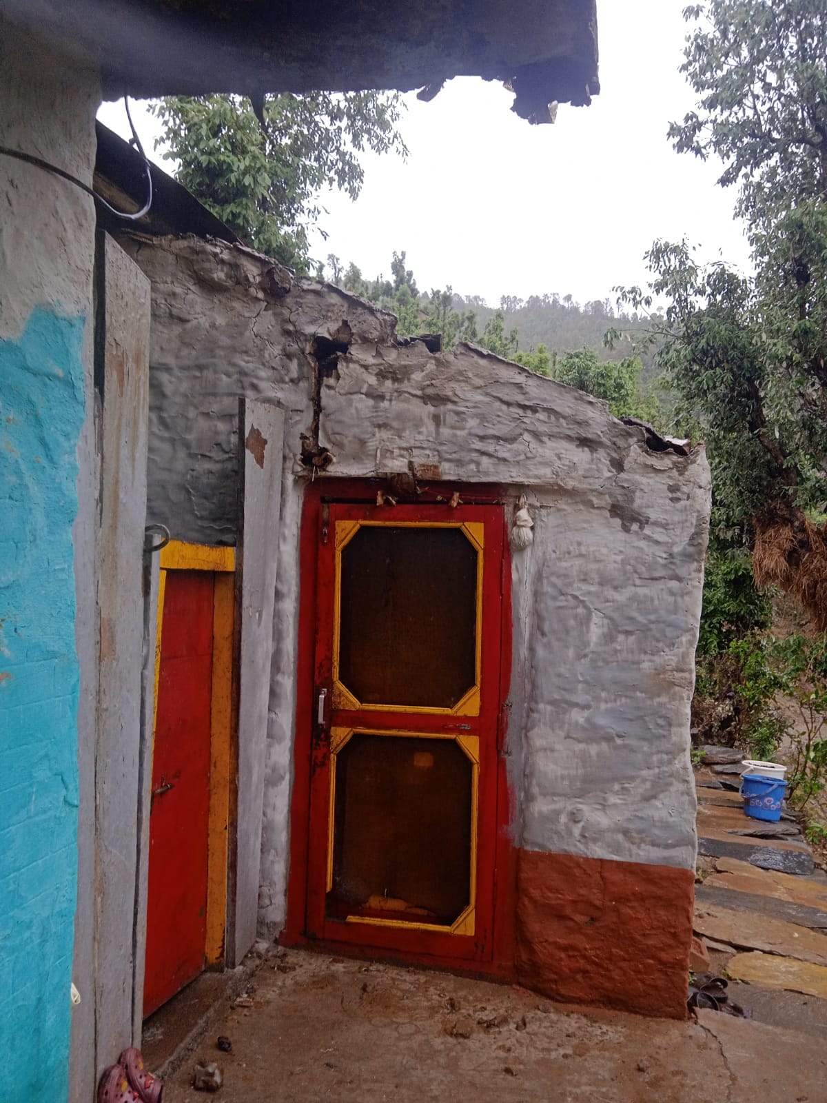 सिरमौर के धौलाकुआं में स्ट्राबेरी की फसल को पहुंचा नुकसान। संवाद