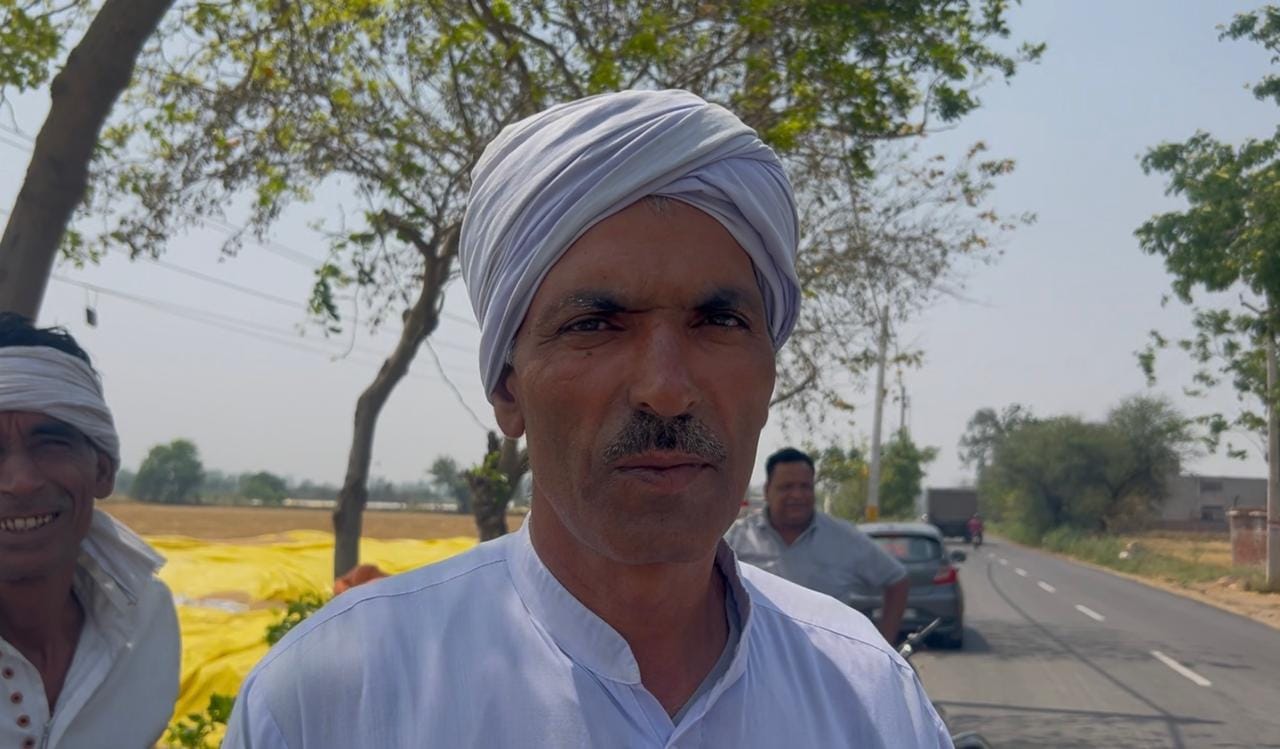01-रोहतक की किलोई अनाज मंडी में बिना टीन-शेड और चाहरदीवारी के खुले में पड़ा गेहूं। संवाद 01-रोहतक की किलोई अनाज मंडी में बिना टीन-शेड और चाहरदीवारी के खुले में पड़ा गेहूं। संवाद