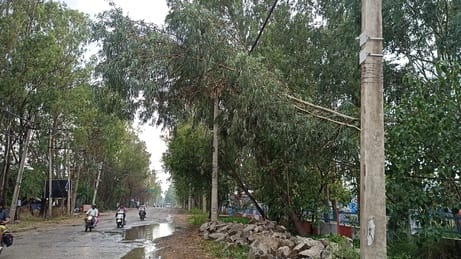 राजकीय विद्यालय भेड़थल के बाहर टूटे तार व गुजरता ट्रक। संवाद