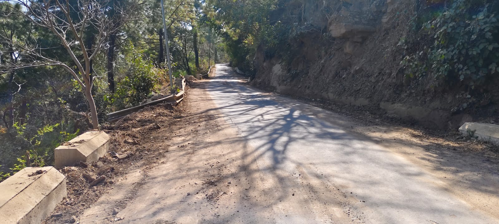 सलौणी से जोल वाया ब्याड़ सड़क पर स्थित अवाह नामक स्थान जहां पर दो साल पहले कार दुर्घटनाग्रस्त ह