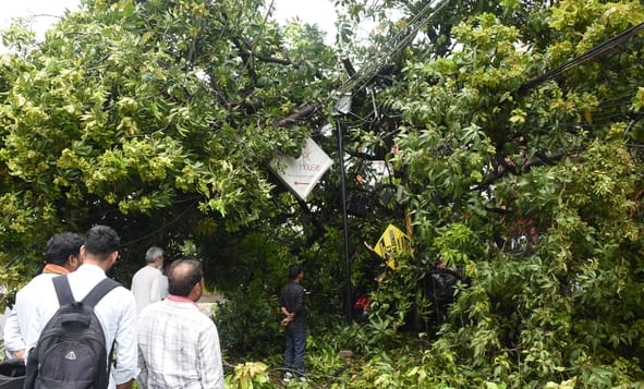 बारिश से शहर में हुआ जलभराव, गिरे पेड़ और खंभे। बारिश से शहर में हुआ जलभराव, गिरे पेड़ और खंभे।