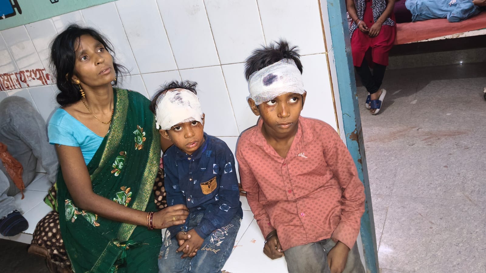 इस्लामनगर थाना क्षेत्र में गंगा एक्सप्रेसवे पर मंगलवार सुबह ट्रक से टकराने के बाद क्षतिग्रस्त ह