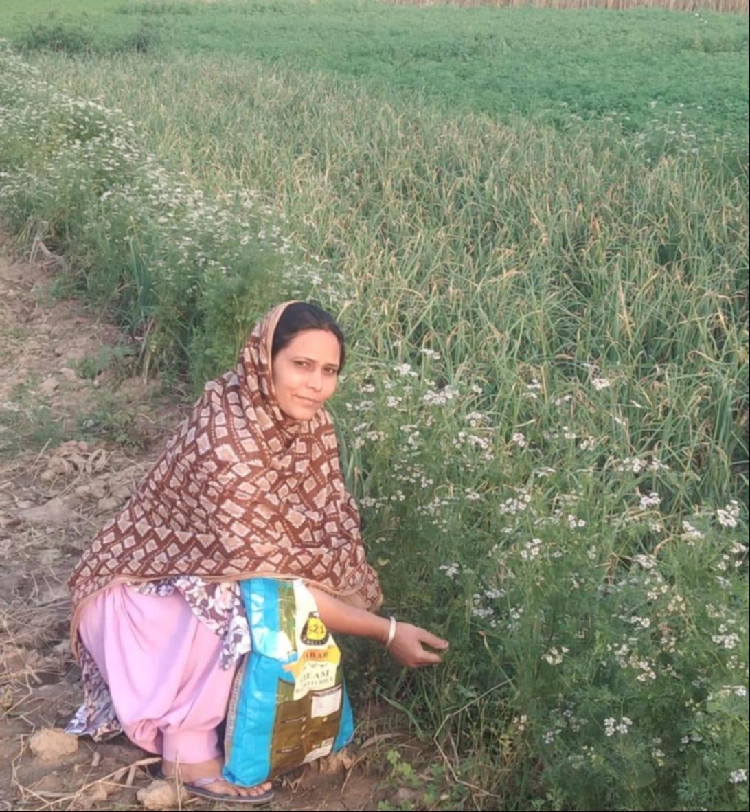 कुरुक्षेत्र। अपने रसोई उद्यान में लगाई सब्जियां व मसाले दिखाते हुए। संवाद
