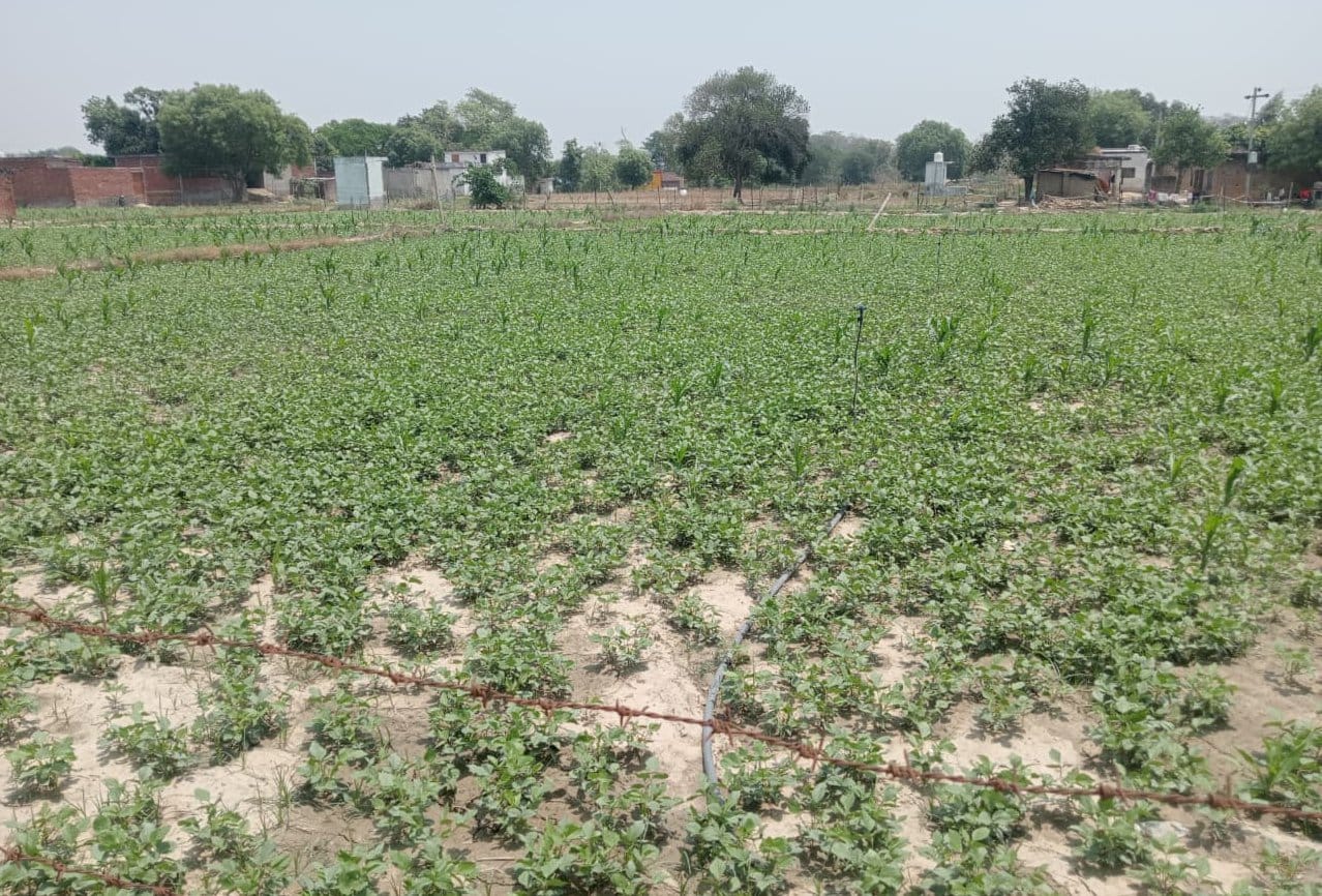 मंगलवार सुबह आसमान में छाए रहे बादल। संवाद