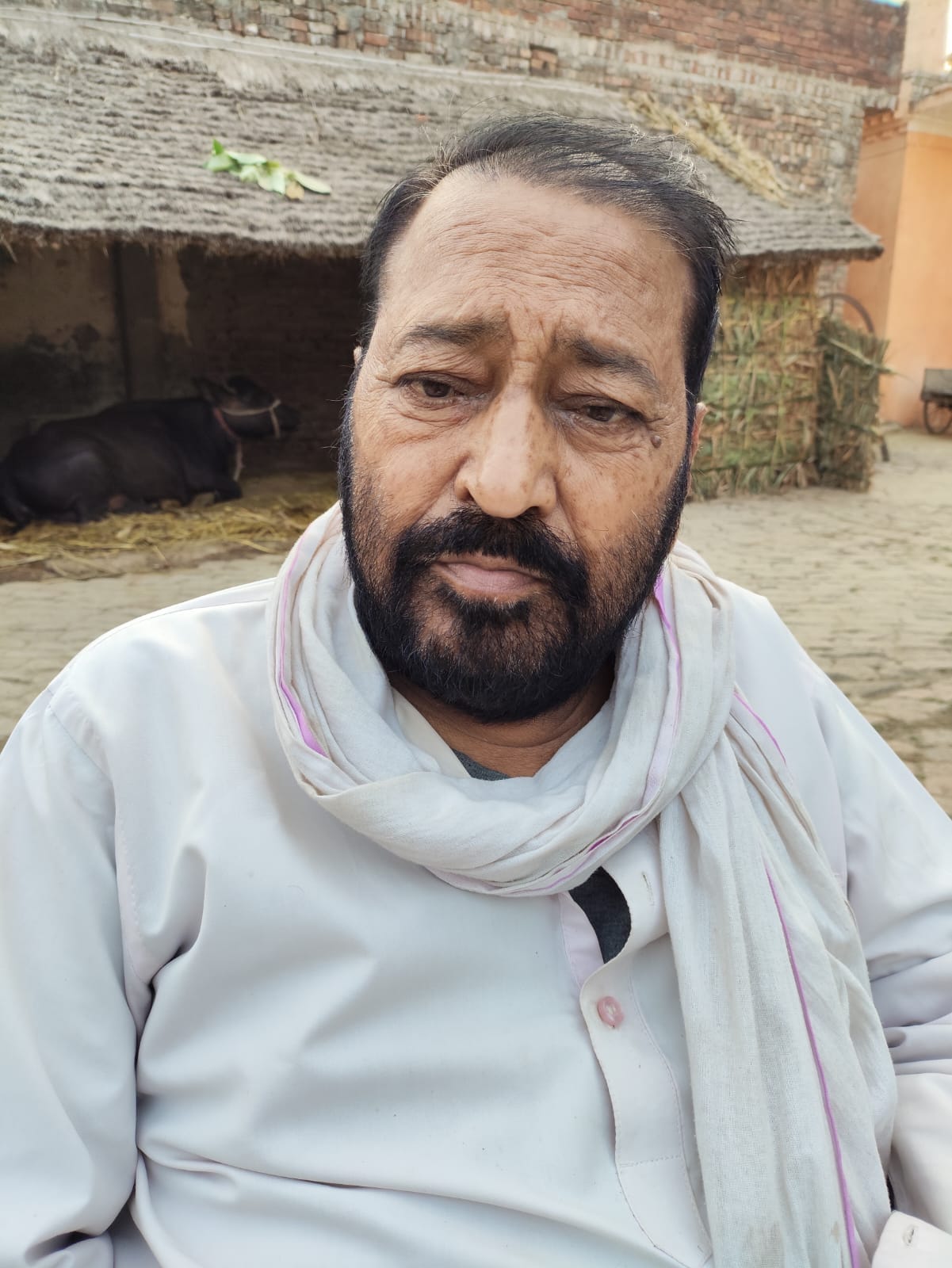 देवाशीष त्रिवेदी पंडित पुरवा