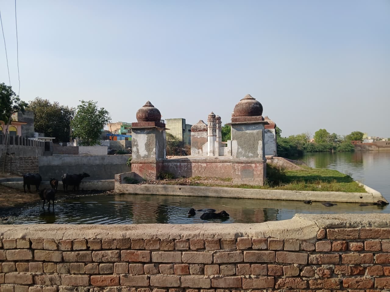26-गांव मोखरा में जानकारी देते ग्रामीण। संवाद 26-गांव मोखरा में जानकारी देते ग्रामीण। संवाद