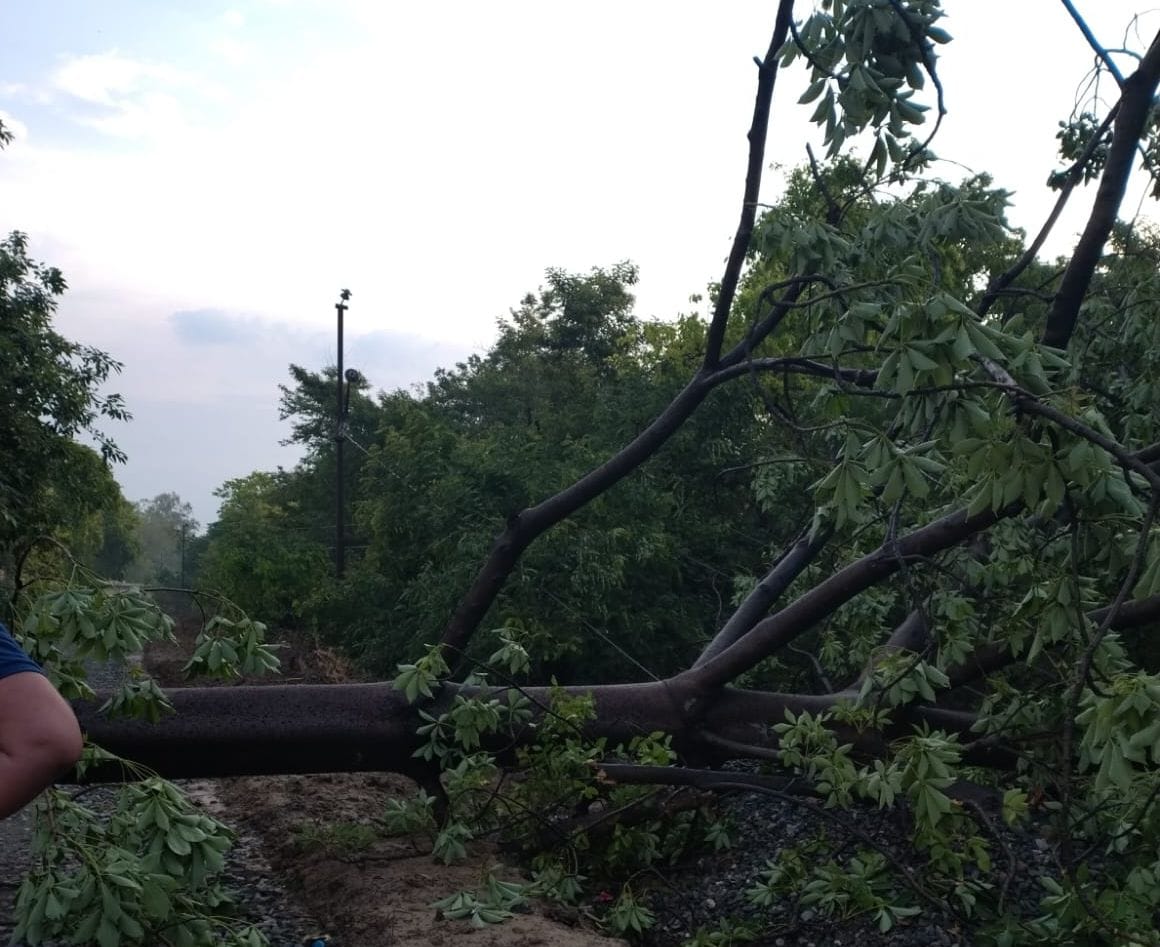 कचहरी ओवरब्रिज पर हवा से उड़ा जाल। संवाद