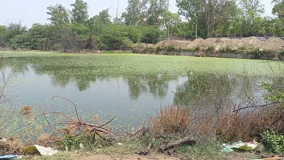नीलम शर्मा, सोनीपत के गांव खानपुर कलां में पीने के पानी की खराब सप्लाई का पानी दिखाती हुई। 01 नीलम शर्मा, सोनीपत के गांव खानपुर कलां में पीने के पानी की खराब सप्लाई का पानी दिखाती हुई। 01