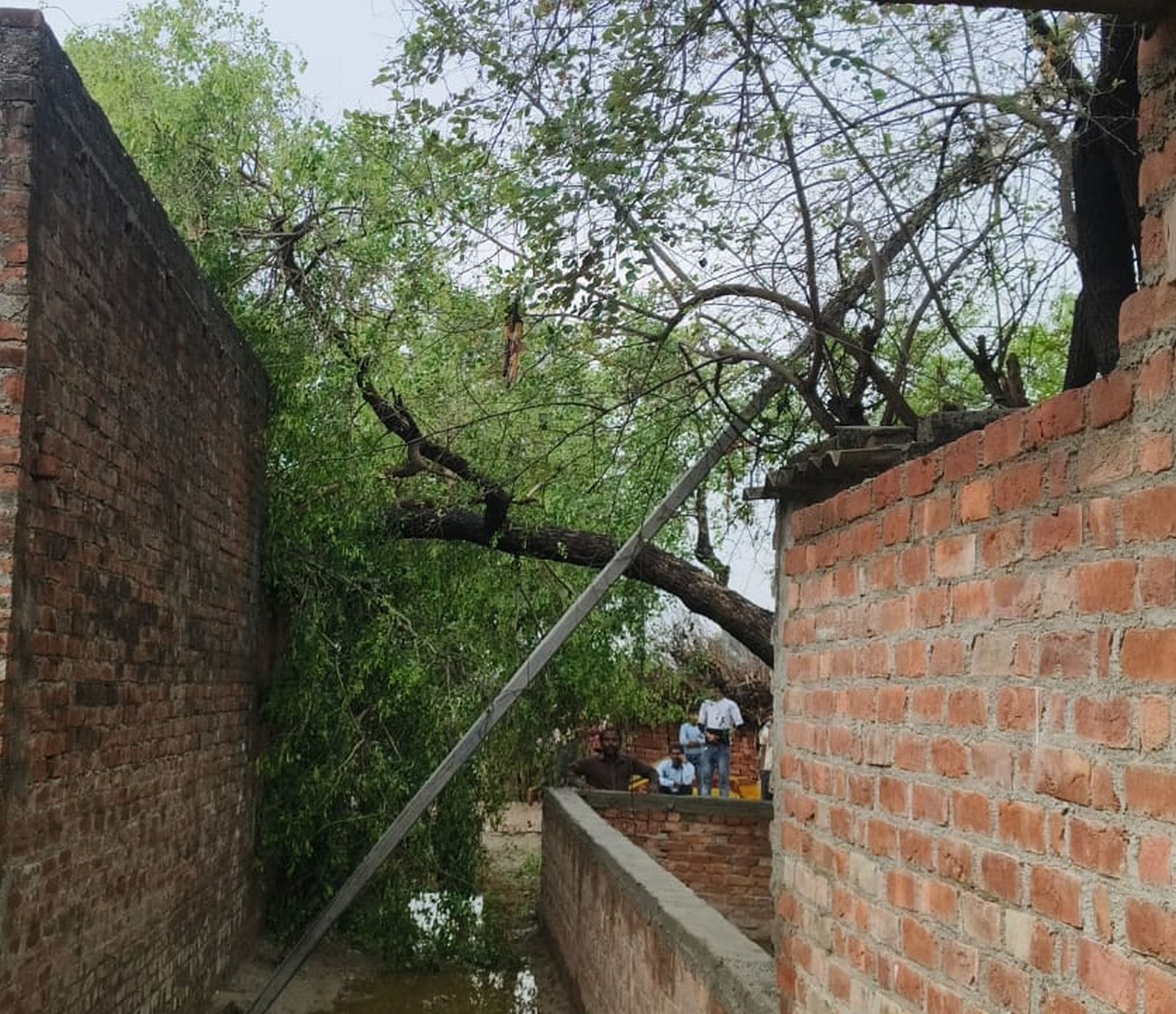 बिल्सी तहसील के मेन गेट पर भरा बारिश का पानी। संवाद बिल्सी तहसील के मेन गेट पर भरा बारिश का पानी। संवाद