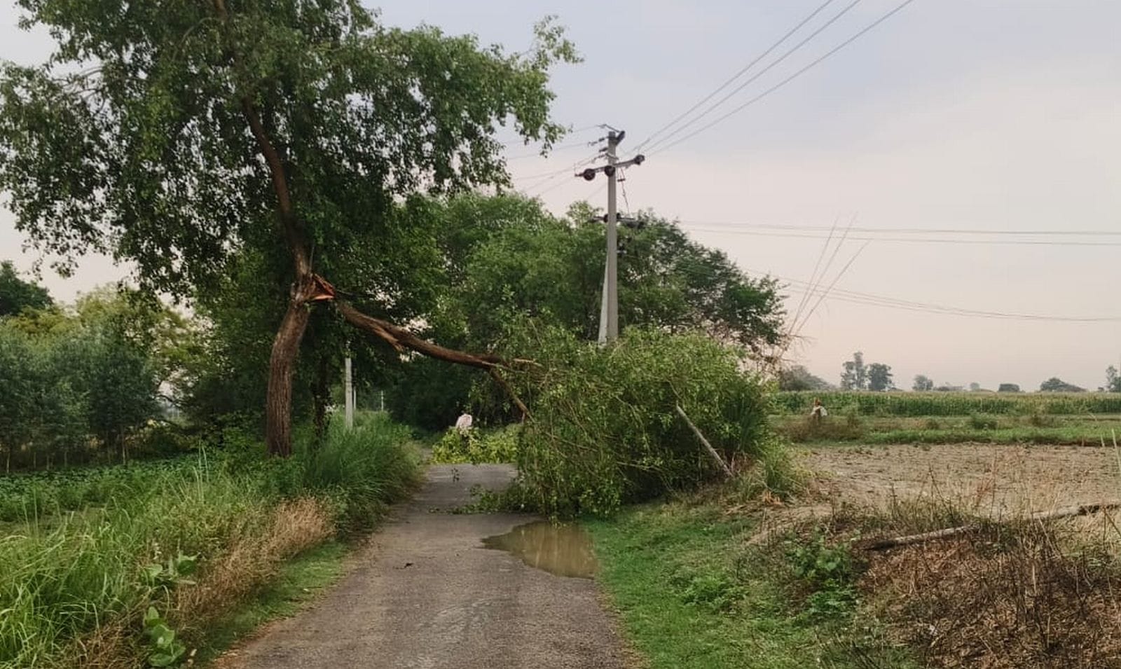 बिल्सी तहसील के मेन गेट पर भरा बारिश का पानी। संवाद बिल्सी तहसील के मेन गेट पर भरा बारिश का पानी। संवाद