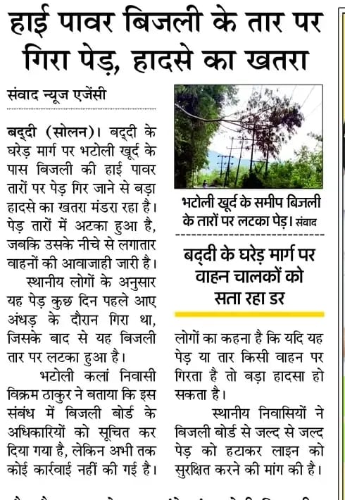बद्दी के भटोली खूर्द में बिजली की तारों पर गिरे पेड़ को हटाते हुए कर्मी- संवाद। बद्दी के भटोली खूर्द में बिजली की तारों पर गिरे पेड़ को हटाते हुए कर्मी- संवाद।