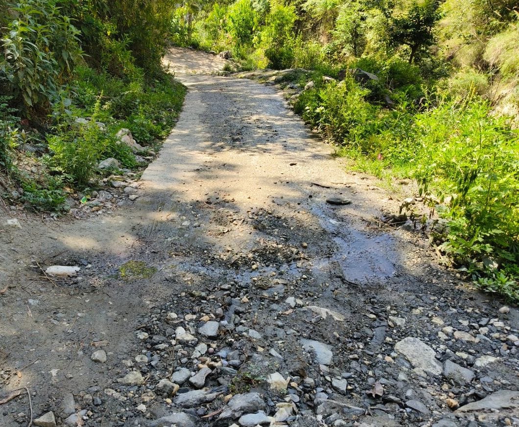 जगातखाना निवासी रचित सिंघल। संवाद जगातखाना निवासी रचित सिंघल। संवाद