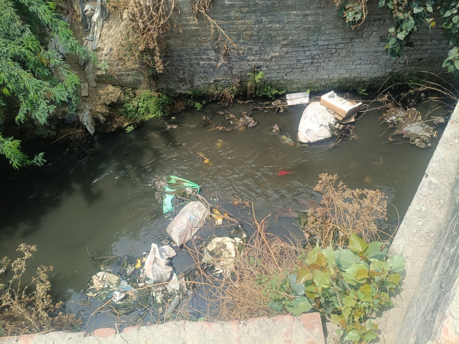 राजू जैन जैन मंदिर आनंदपुरम राजू जैन जैन मंदिर आनंदपुरम