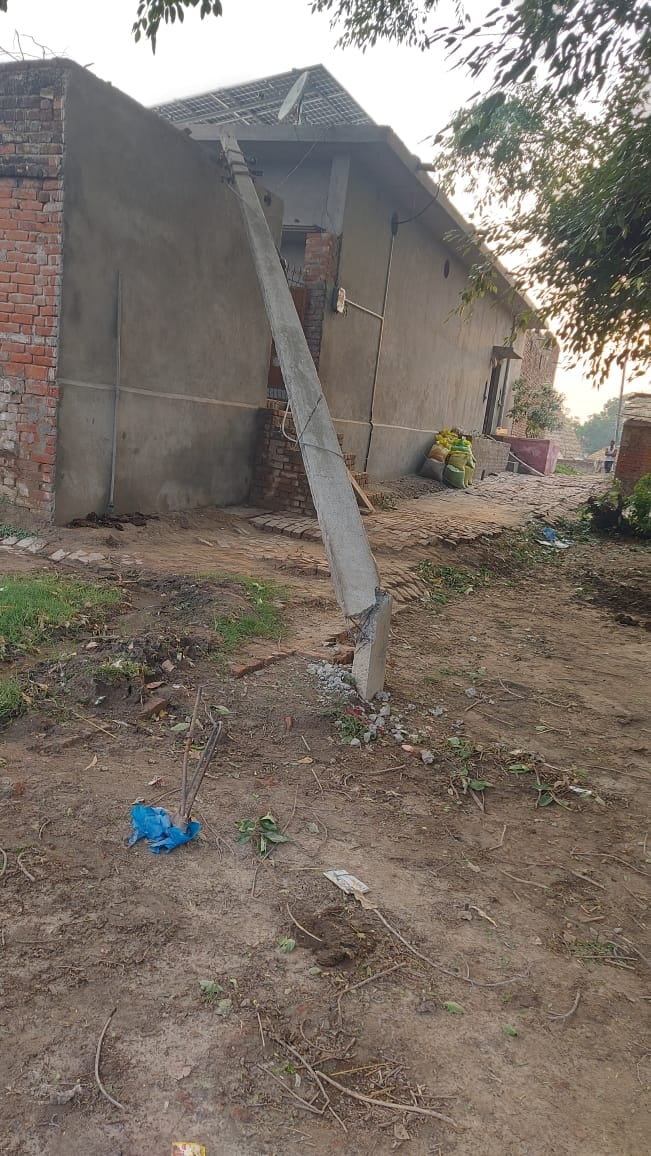 आंधी के दौरान बिजली की लाइन पर गिरा पेड़। स्रोत: बिजली निगम