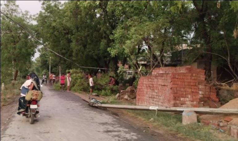अजय यादव बरावां के घर पर गिरा पेड़। संवाद