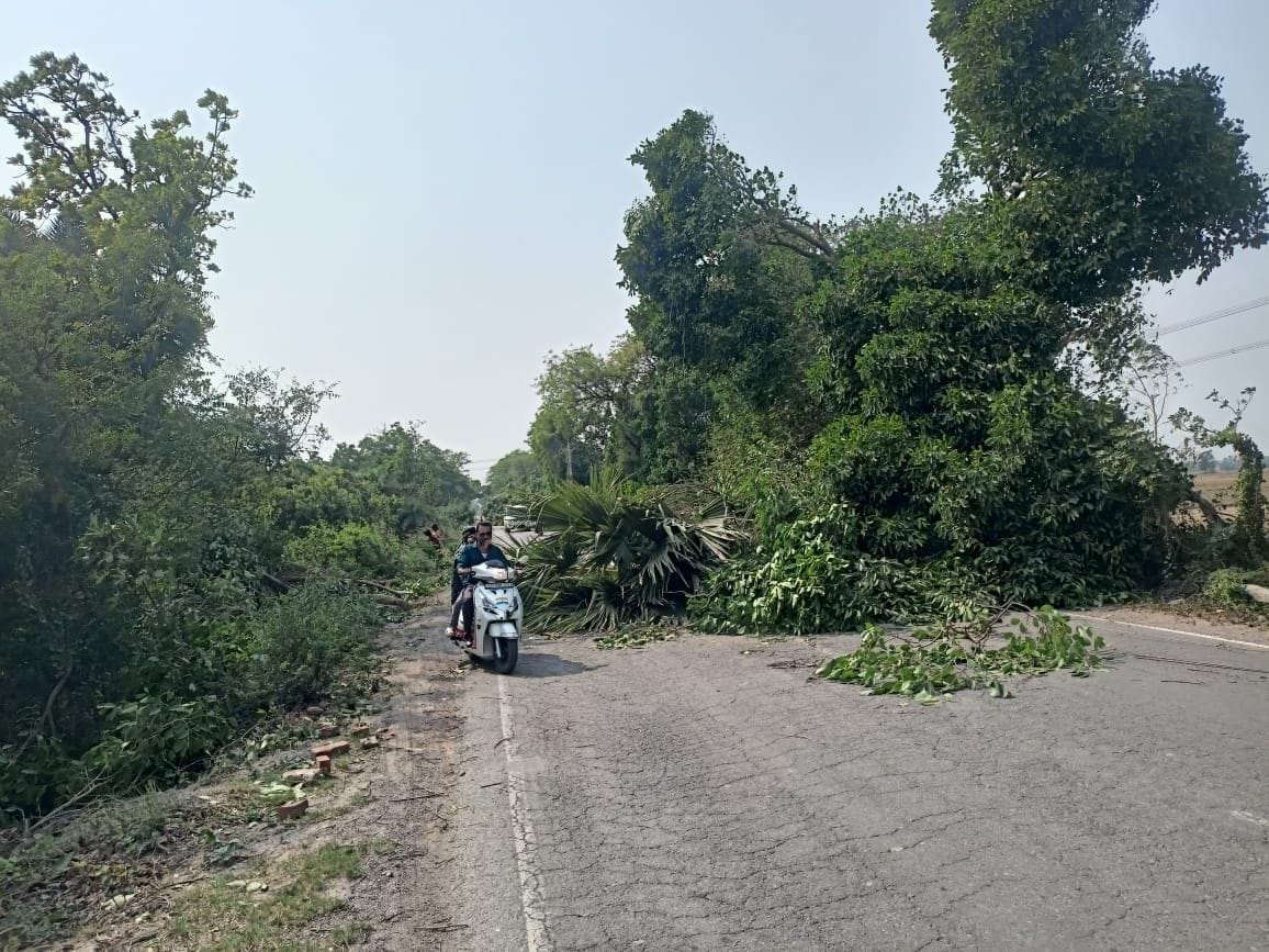 फोटो-48- आराध्या सिंह, 97.8 प्रतिशत, एवीएम इंटर कॉलेज (जिले में प्रथम स्थान)