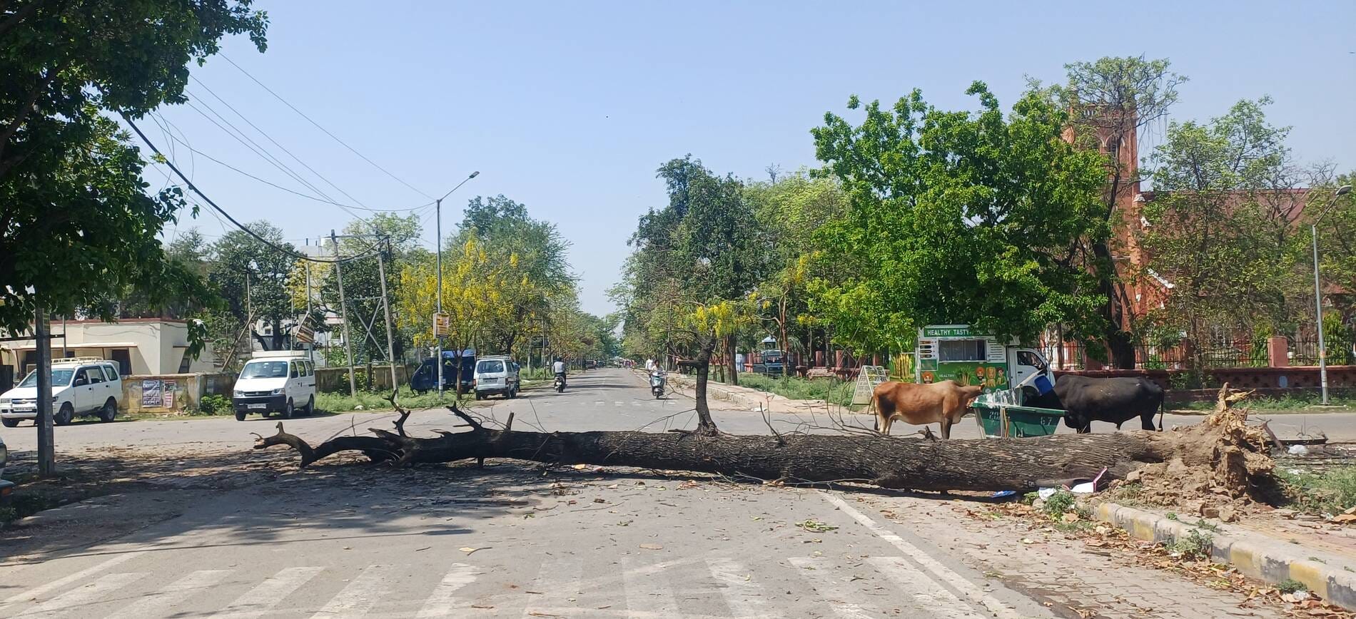 अंबाला दिल्ली राष्ट्रीय राजमार्ग स्थित नन्हेडा पेट्रोल पंप पर गिरा बिजली का खंभा। संवाद