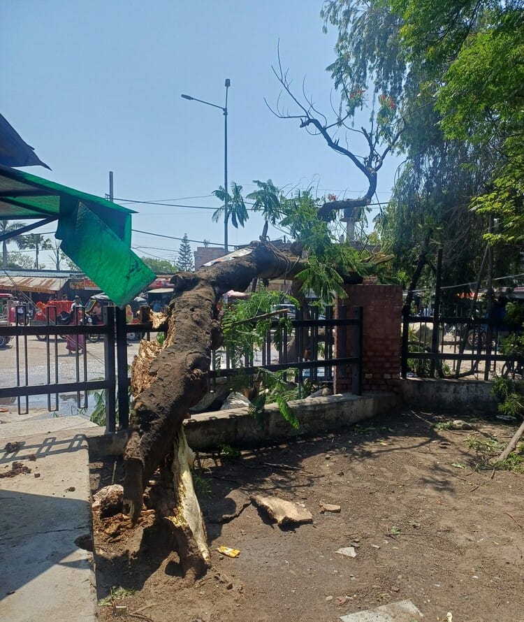 अंबाला दिल्ली राष्ट्रीय राजमार्ग स्थित नन्हेडा पेट्रोल पंप पर गिरा बिजली का खंभा। संवाद