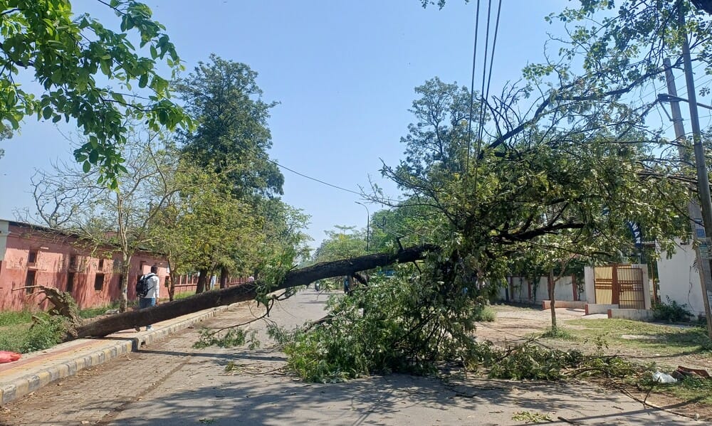 अंबाला दिल्ली राष्ट्रीय राजमार्ग स्थित नन्हेडा पेट्रोल पंप पर गिरा बिजली का खंभा। संवाद