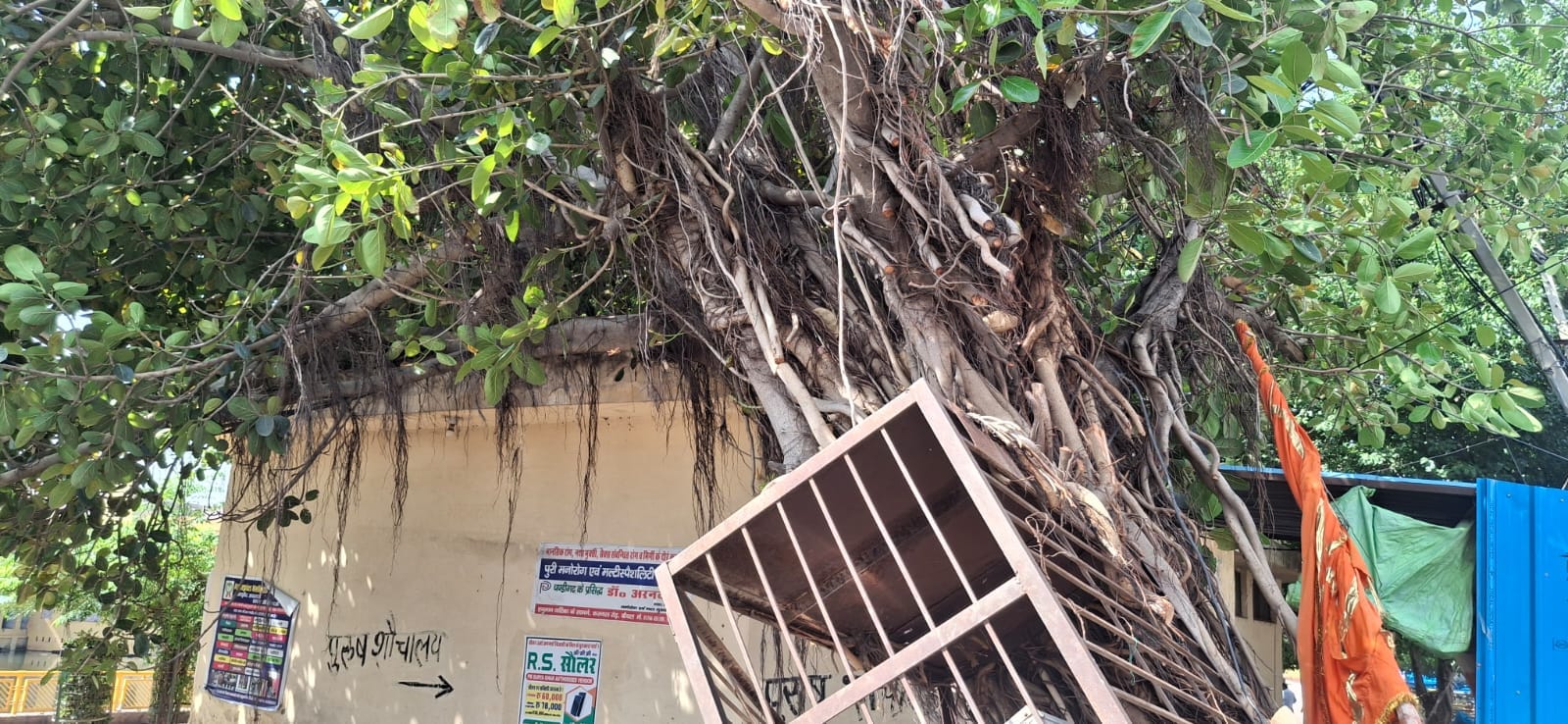 लाडवा। पिपली मार्ग पर सड़क के बीचों-बीच गिरा पेड़। संवाद