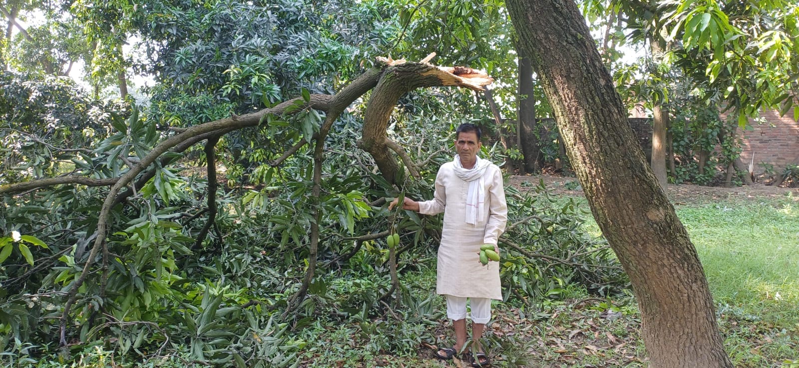 नानौता में भूरा सिद्दीकी के मकान पर गिरा बिजली का खंभा। संवाद
