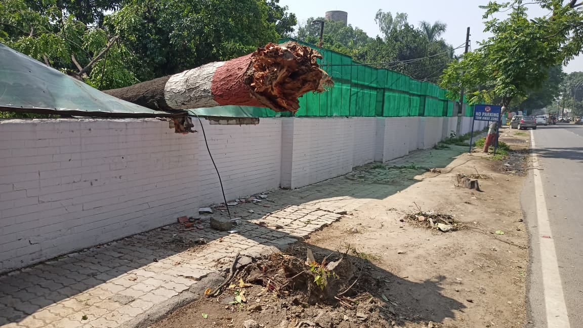 प्लाईवुड फैक्टरी मे तेज अंधड़ से टूटी चिमनी को हटाती क्रेन। स्वयं