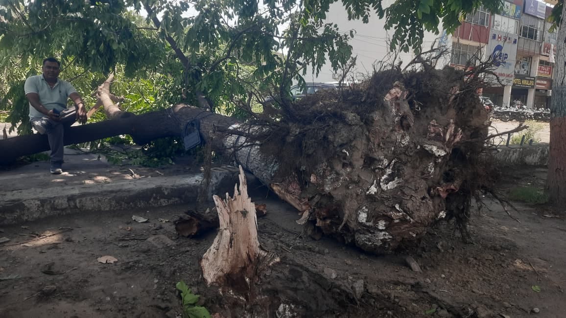 प्लाईवुड फैक्टरी मे तेज अंधड़ से टूटी चिमनी को हटाती क्रेन। स्वयं