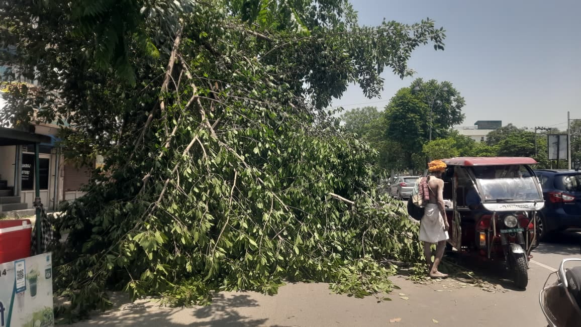 प्लाईवुड फैक्टरी मे तेज अंधड़ से टूटी चिमनी को हटाती क्रेन। स्वयं