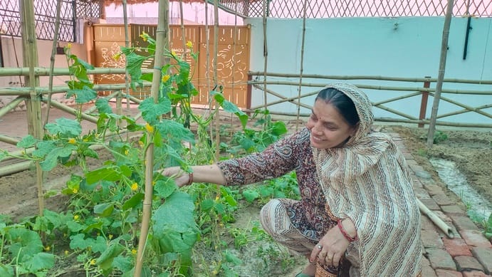 गोहाना में अपनी बगिया में लगे पौधों की देखभाल करती सुमन सैनी। संवाद
