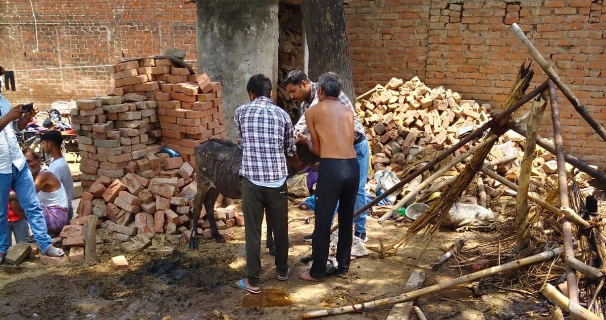 फोटो-4- सीएचसी में झुलसे बैठे भाई। संवाद फोटो-4- सीएचसी में झुलसे बैठे भाई। संवाद