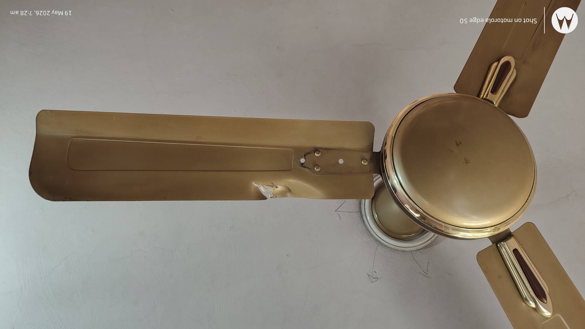 गुलावठी में गोली लगने से दरवाजे में बना निशान। संवाद