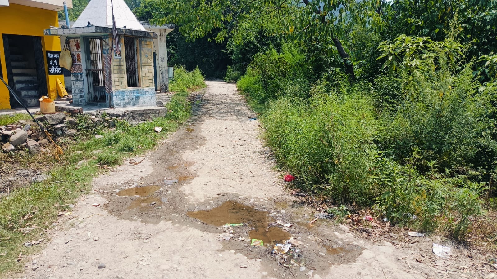 कैप्टन सूरम सिंह कैप्टन सूरम सिंह