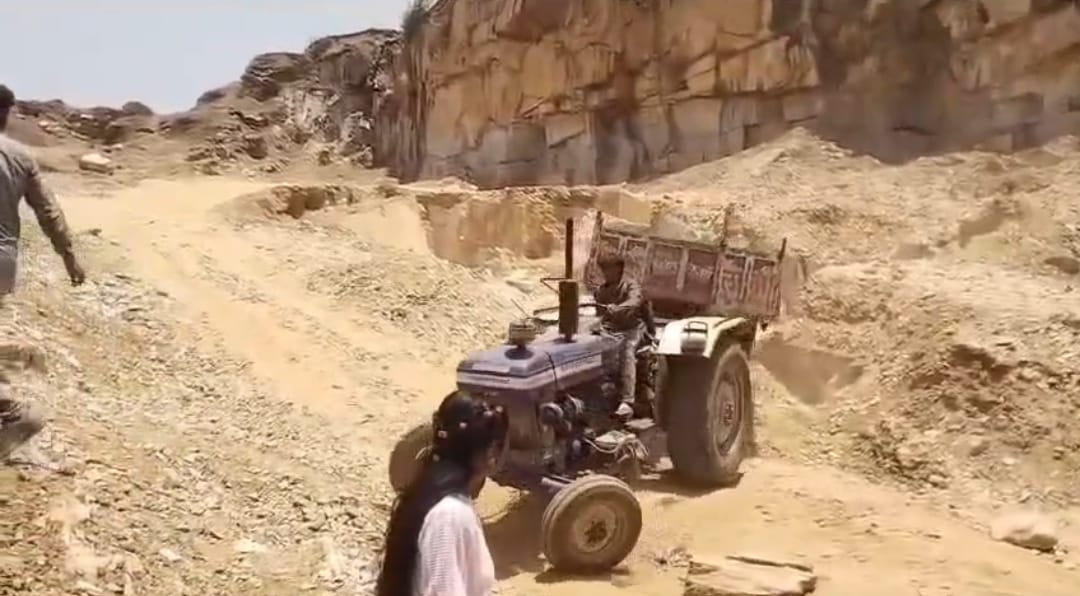 रोहाल पनासी में वनकार्मिकों की कार्रवाई का वायरल वीडियो।
