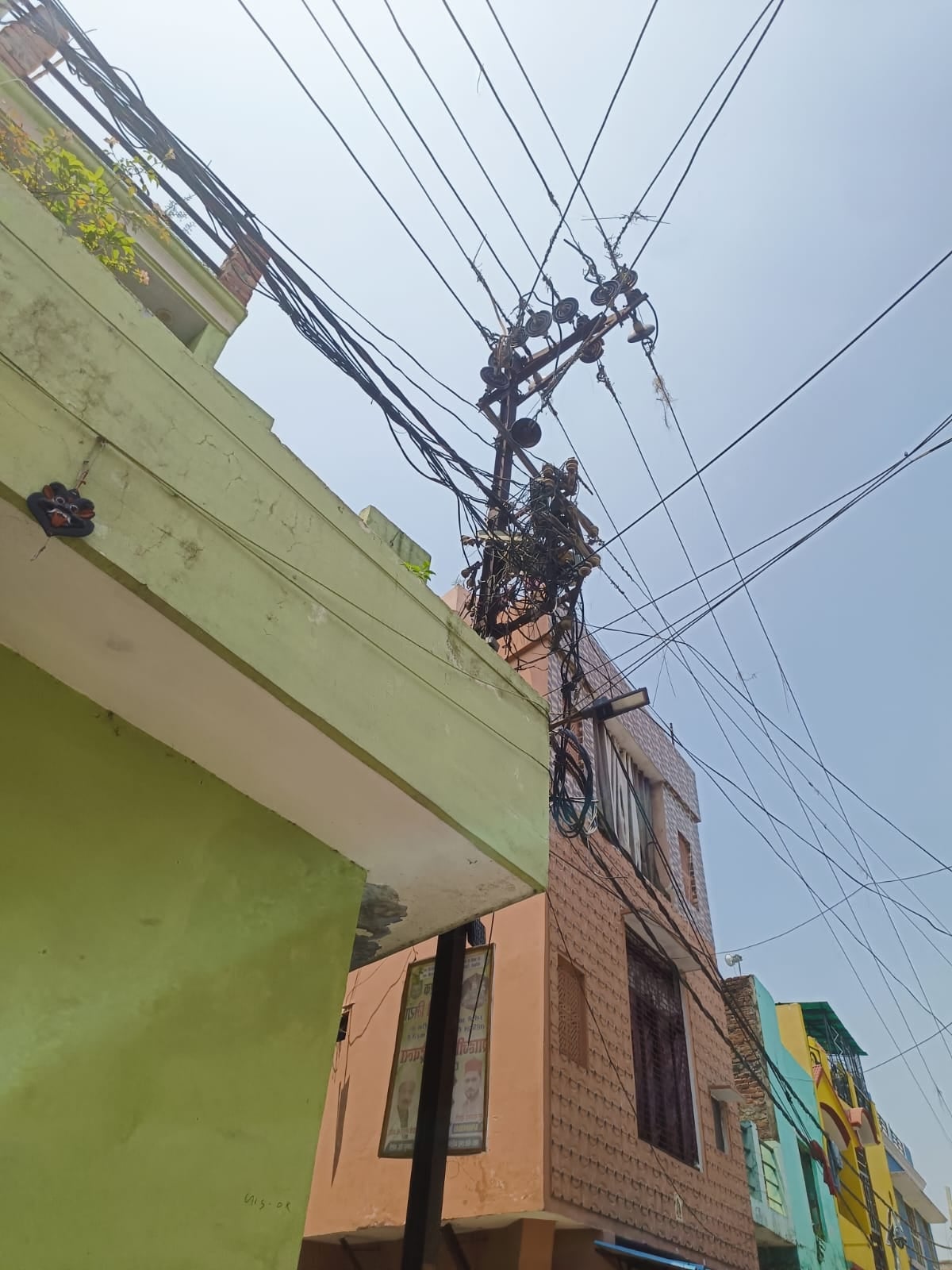 शादाब। शादाब।