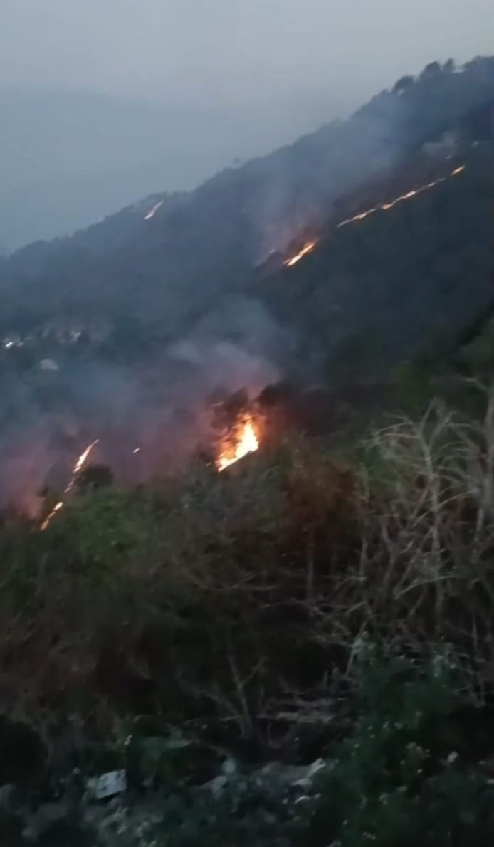देवप्रयाग ब्लॉक के त्यालनी और बागवान के जंगलों में आग बुझाने में जुटे कर्मी। संवाद 