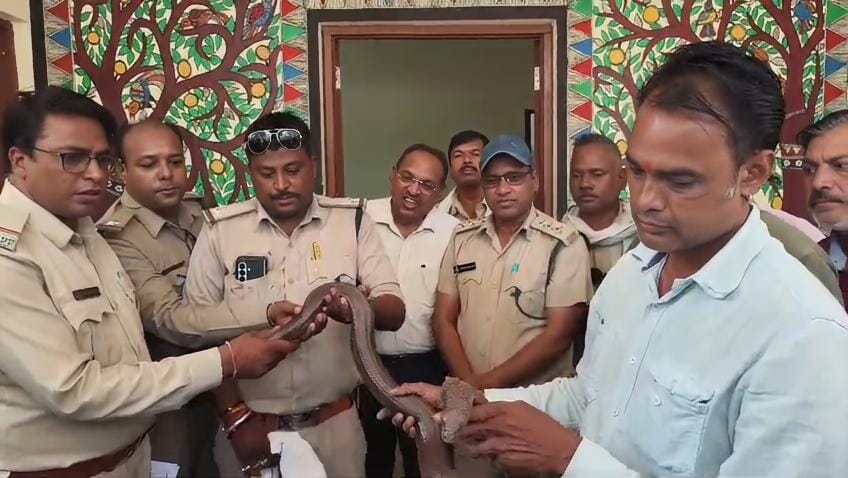 ऐसे पकड़ाया सांप ऐसे पकड़ाया सांप