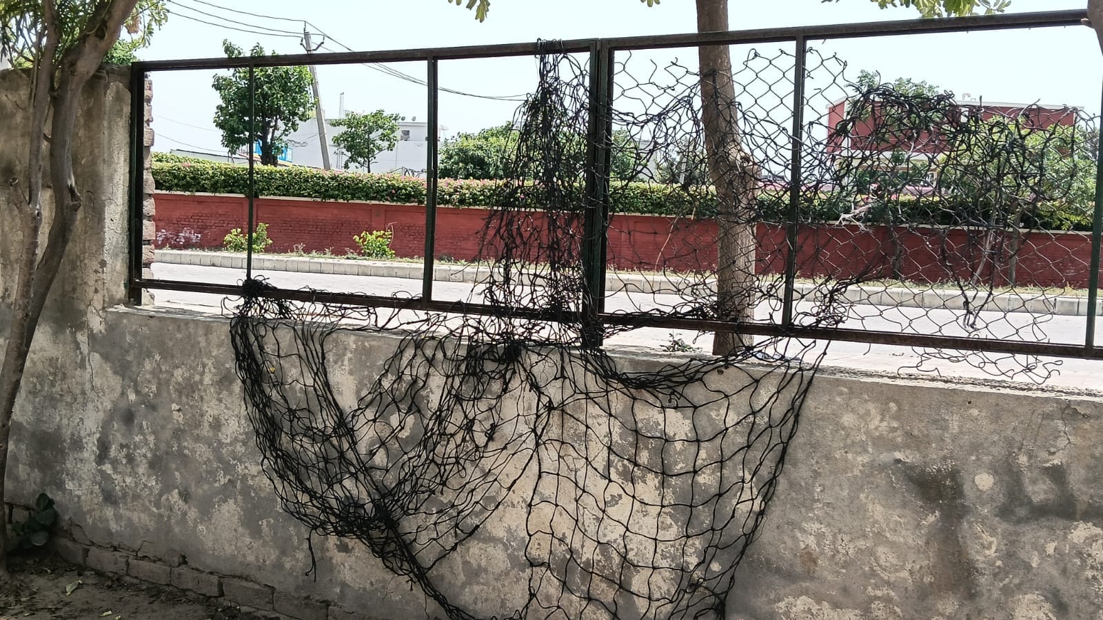 कैथल के छोटू राम खेल स्टेडियम के मैदान में घूमता कुत्ता। संवाद