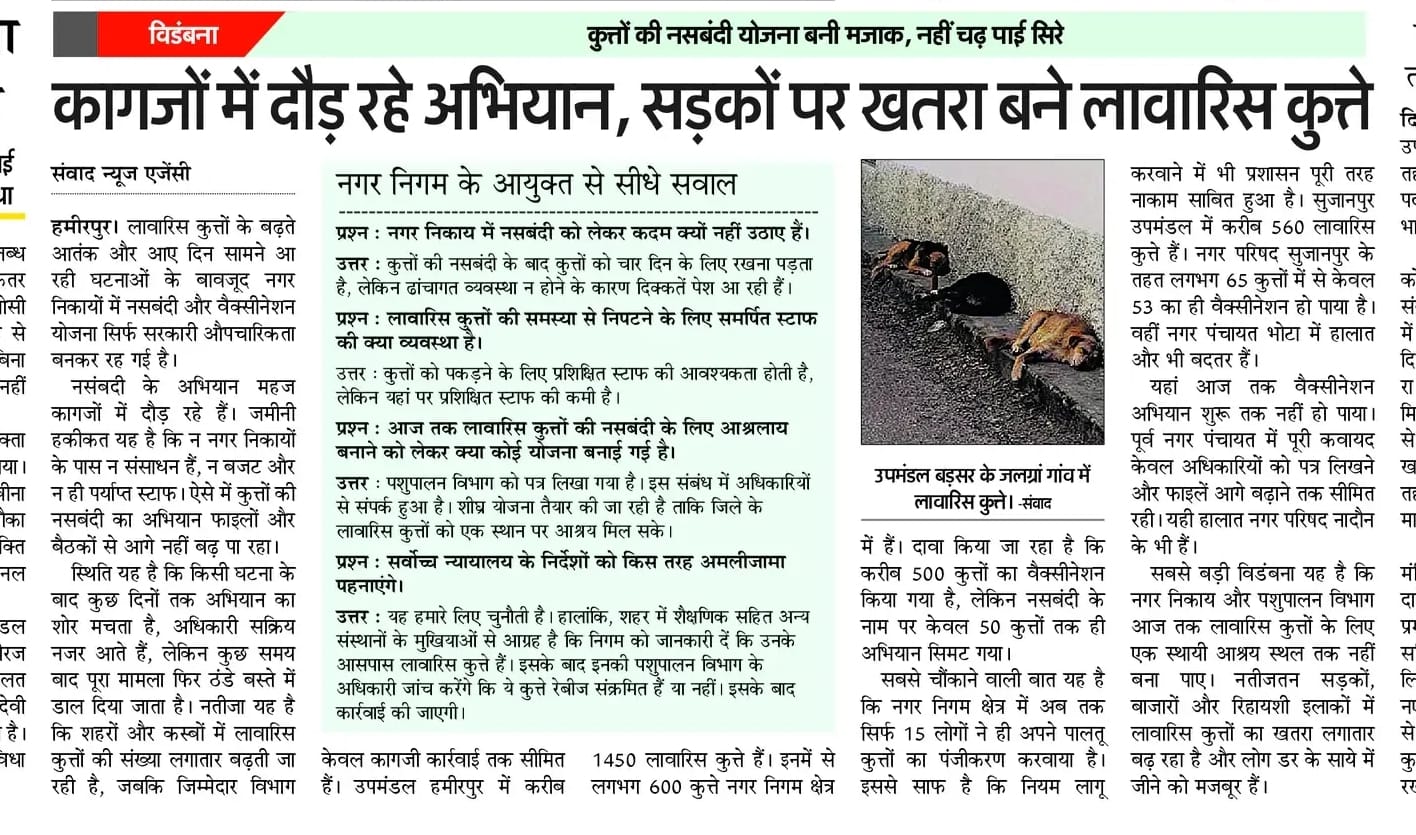 लावारिस कुत्तों को लेकर चलाए गए अभियान की प्रकाशित खबर।