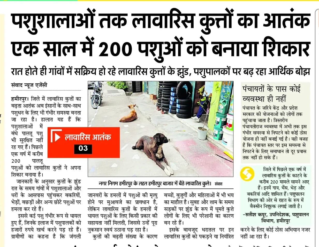 लावारिस कुत्तों को लेकर चलाए गए अभियान की प्रकाशित खबर।