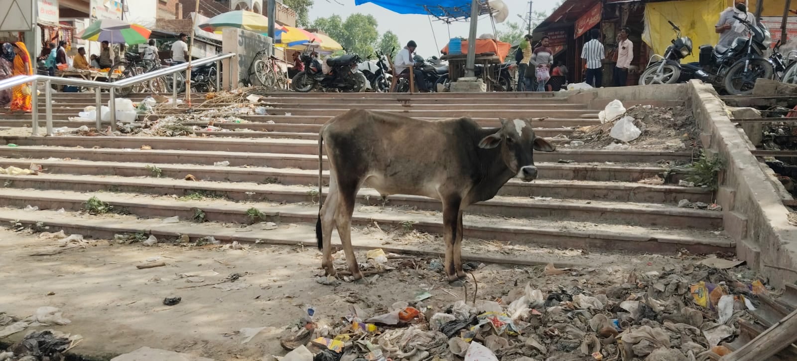 श्रृंग्वेरपुर धाम में चौकियों से पटा श्री रामघाट, गंदगी का अंबार, श्रद्धालुओं को परेशानी श्रृंग्वेरपुर धाम में चौकियों से पटा श्री रामघाट, गंदगी का अंबार, श्रद्धालुओं को परेशानी