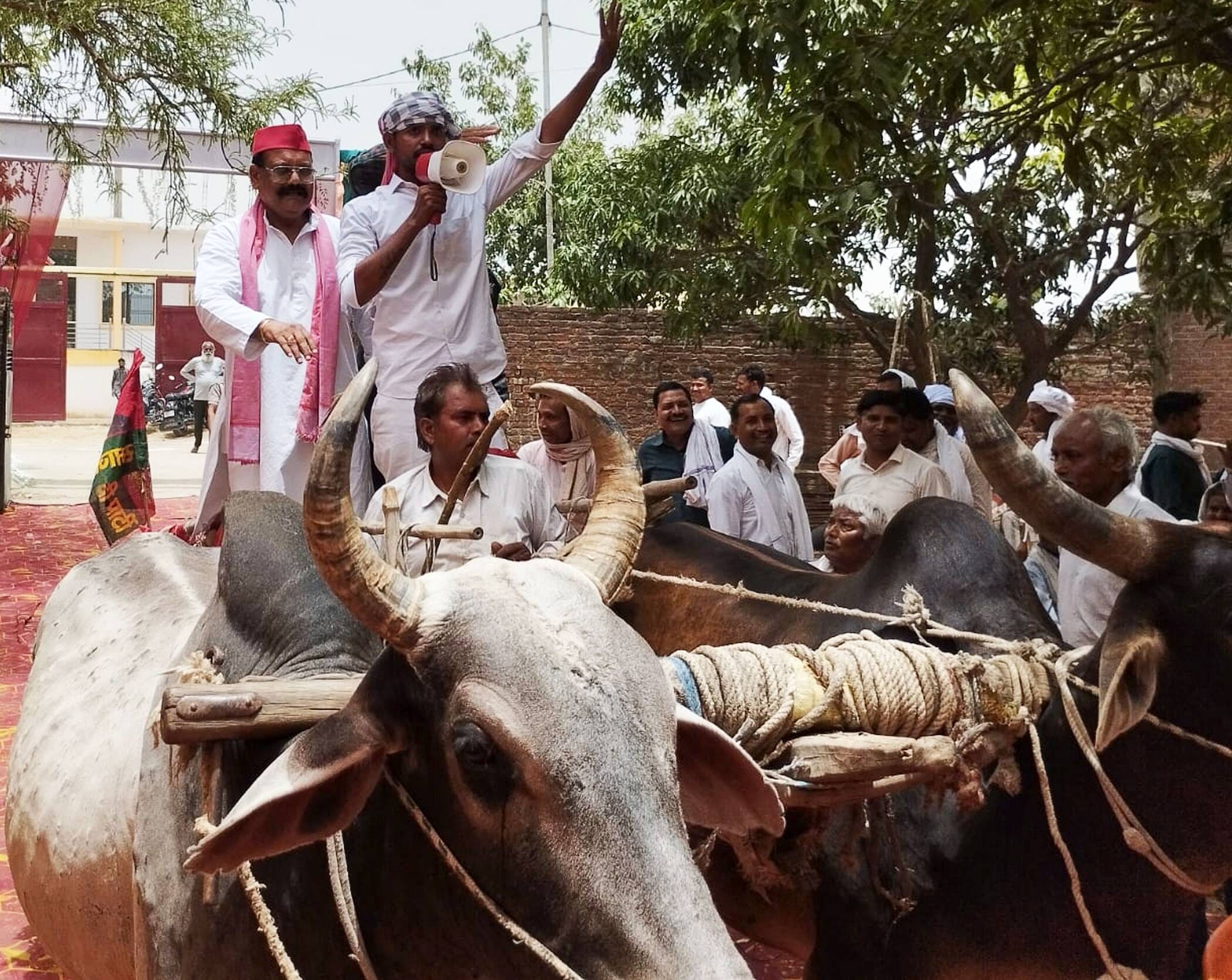 फोटो-15-सांसद का माल्यार्पण करते पदाधिकारी। संवाद फोटो-15-सांसद का माल्यार्पण करते पदाधिकारी। संवाद