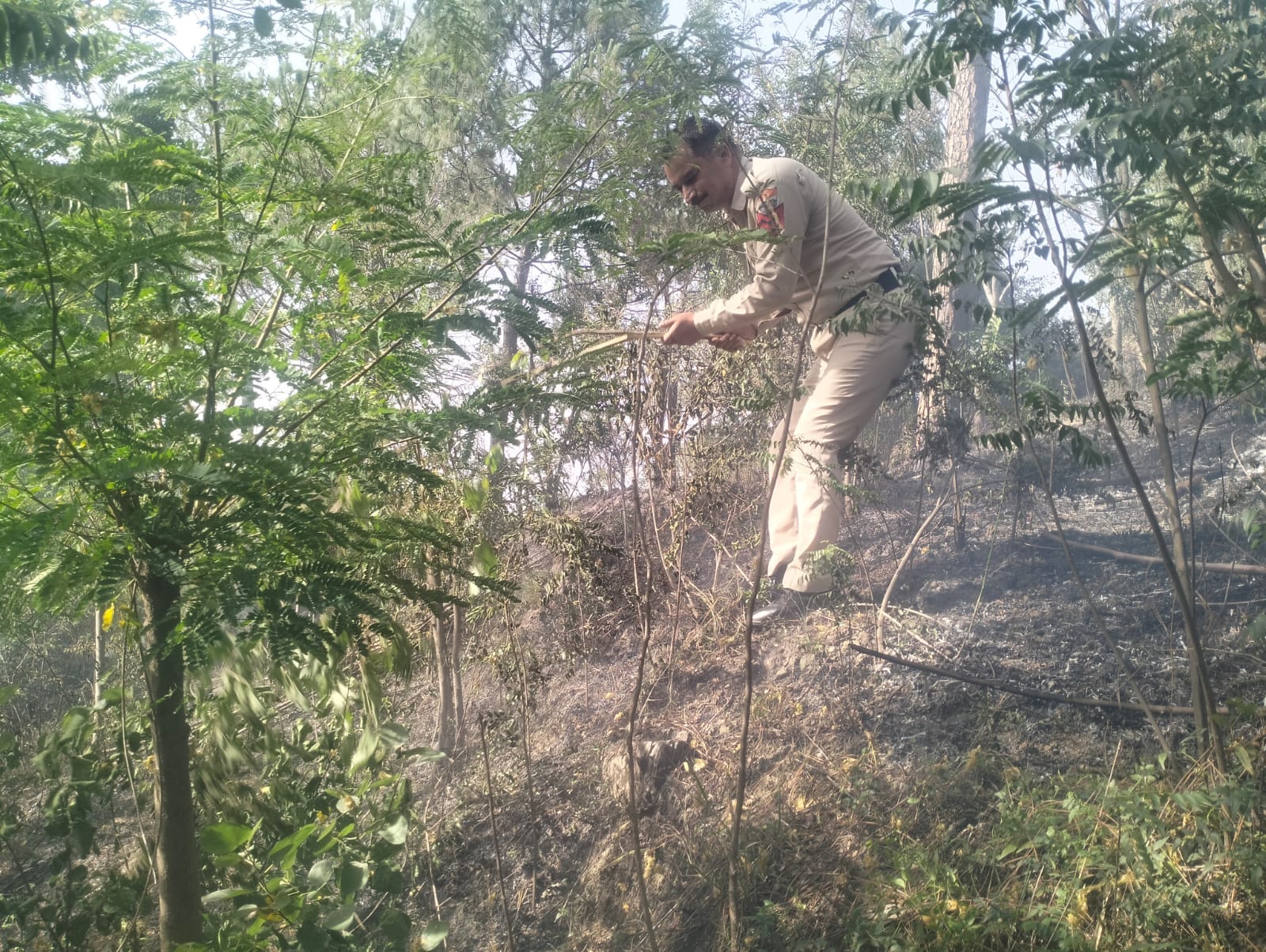 जौड़े अंब पंचायत में आग बुझाते दमकल विभाग के कर्मी। संवाद जौड़े अंब पंचायत में आग बुझाते दमकल विभाग के कर्मी। संवाद