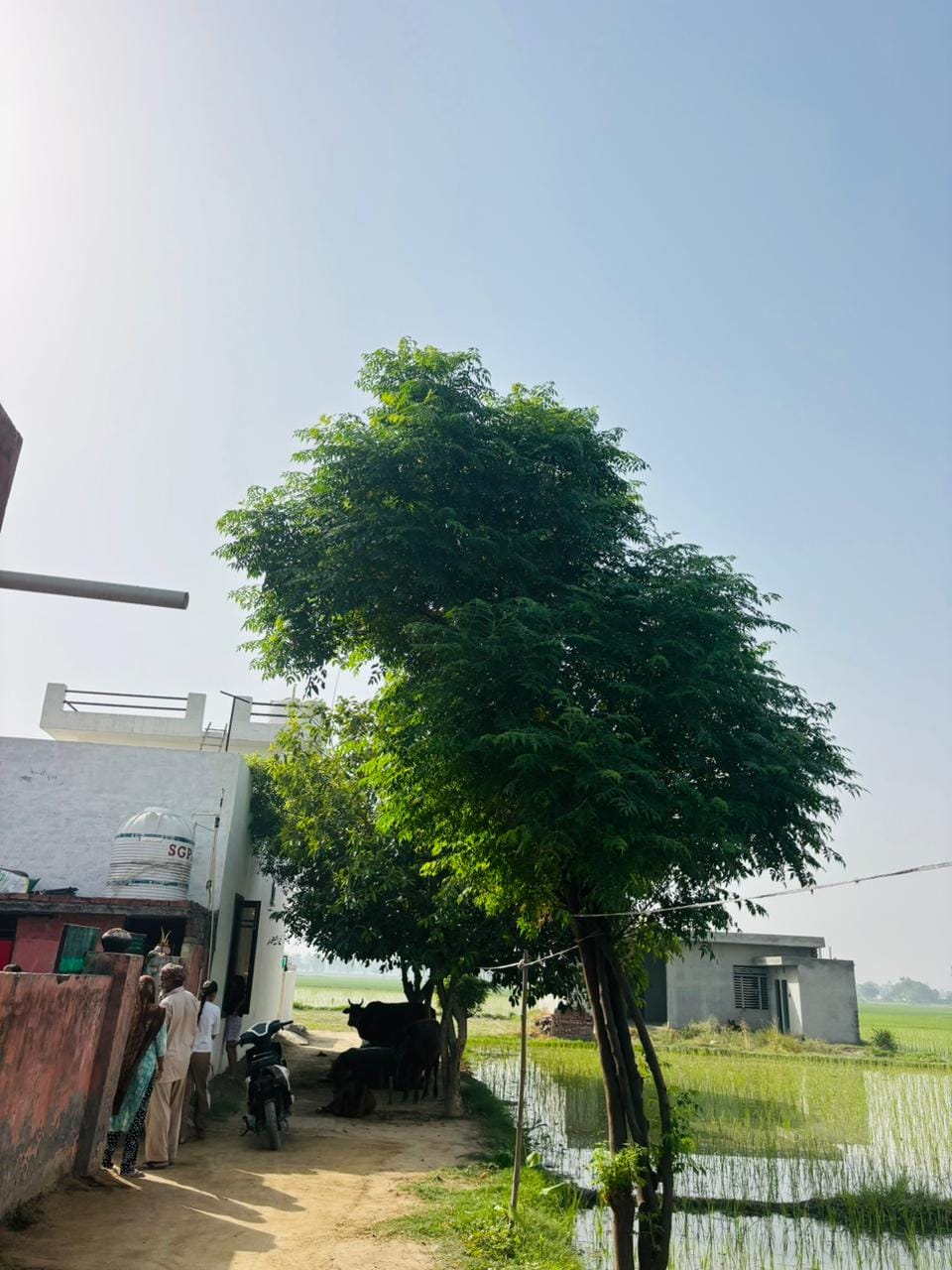बिजली से वंचित मलकीत डेरे के ग्रामीण। संवाद बिजली से वंचित मलकीत डेरे के ग्रामीण। संवाद
