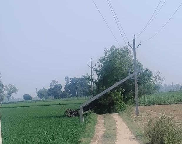 बरबर के पानी की टंकी पर गिरा पीपल का पेड़। संवाद