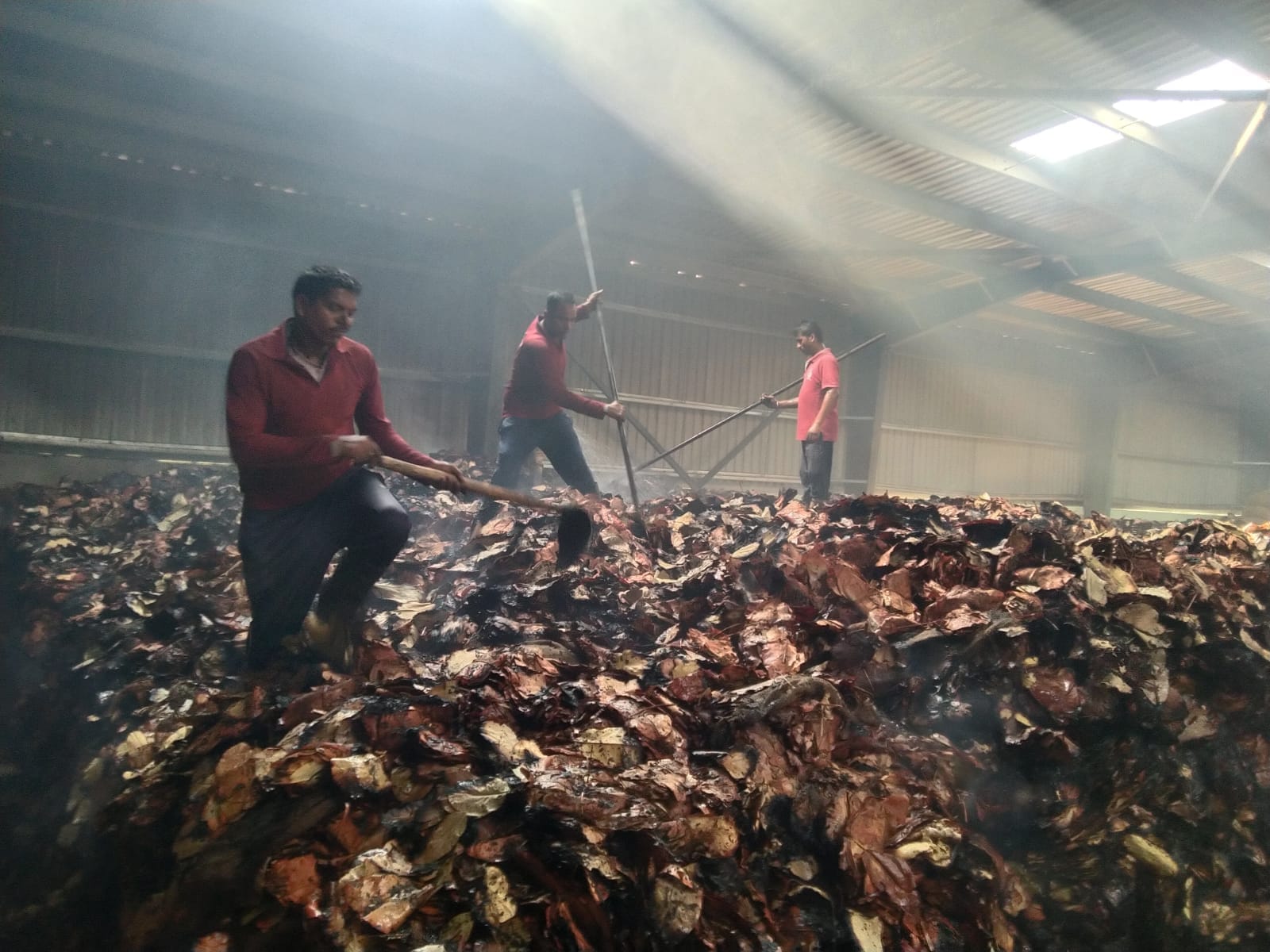 आग को बुझाते फायर बिग्रेड की टीम