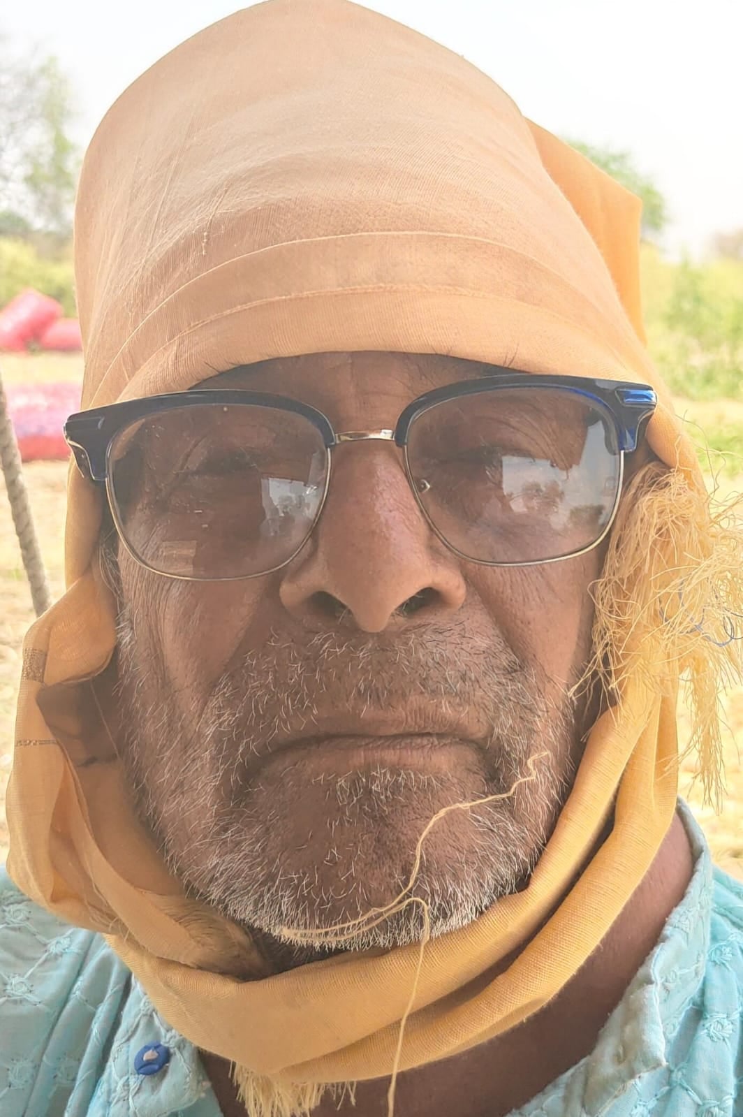 फोटो - 17 खेत में खड़ी सूखती प्याज की फसल। संवाद