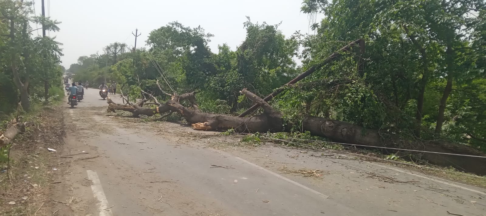 कुर्रिया कलां में सड़क पर टूटे पड़े बिजली के खंभे। संवाद